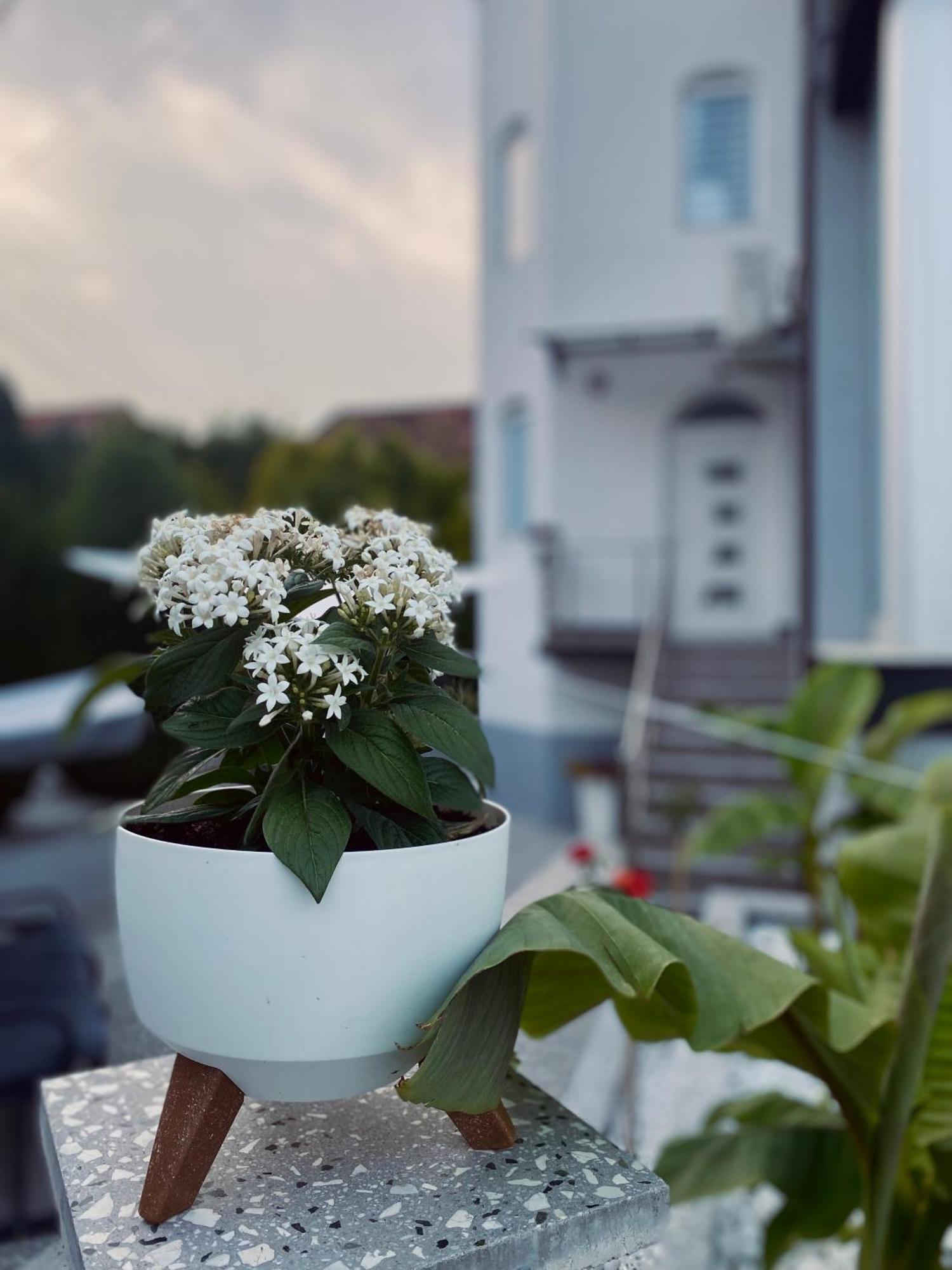 Greenhill Apartments クマノヴォ エクステリア 写真